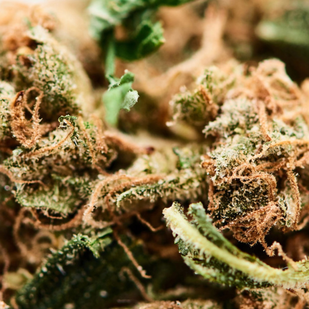 Dichiara in dogana 117 kg marijuana, arrestato