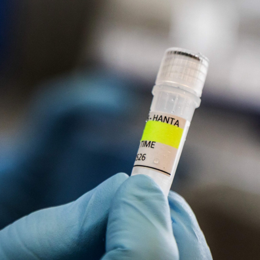 Hantavirus, l’OMS: senza nuovi casi entro il 2 luglio, l'epidemia è conclusa