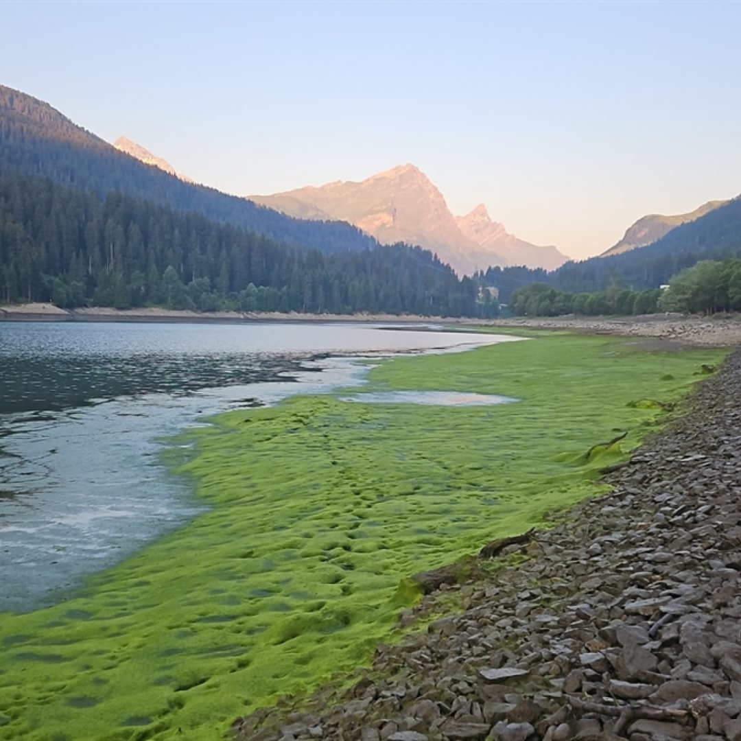 Lago di Sufner: migliaia di pesci morti, scattano le indagini