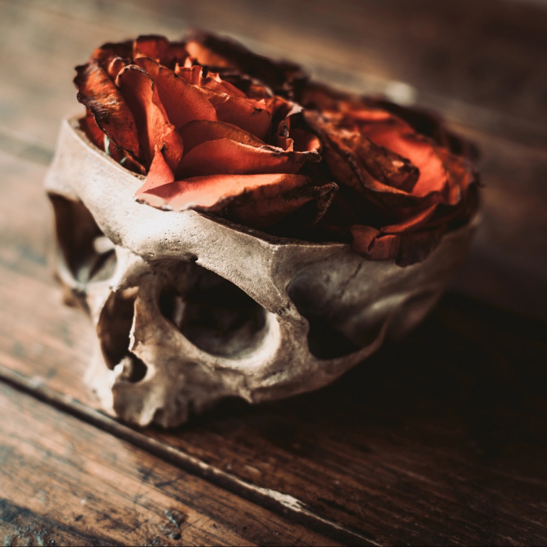 Portava a casa parti di cadaveri da una clinica, caso di cannibalismo sconvolge l'Ungheria