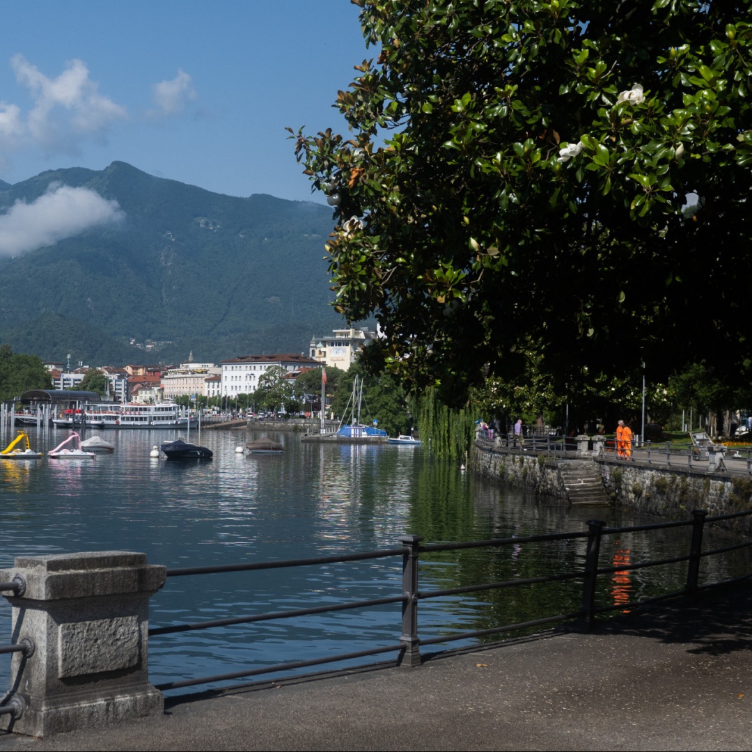 "Alghe azzurre" nel lago Maggiore: invito alla prudenza