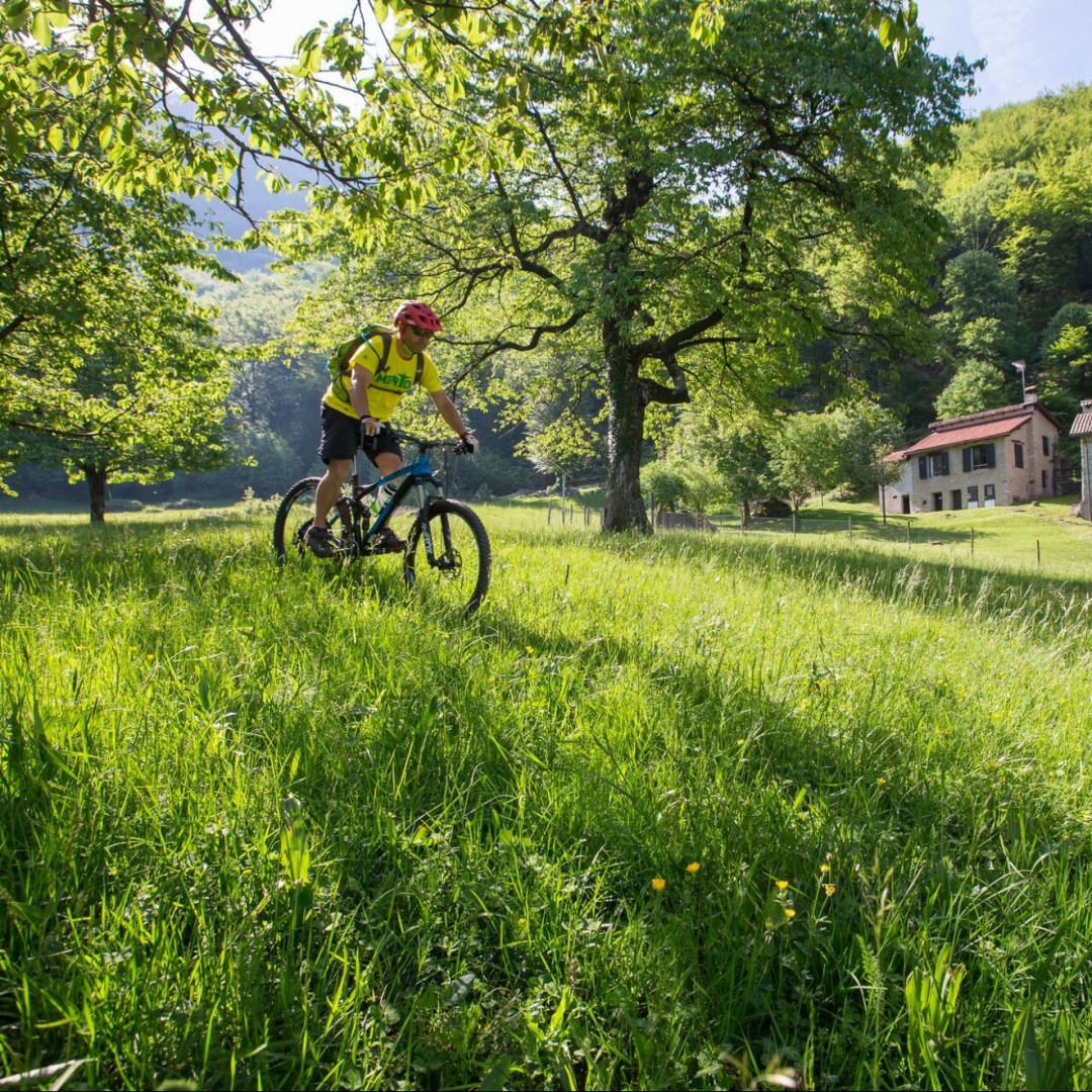 Torna Uber Mountain Bike