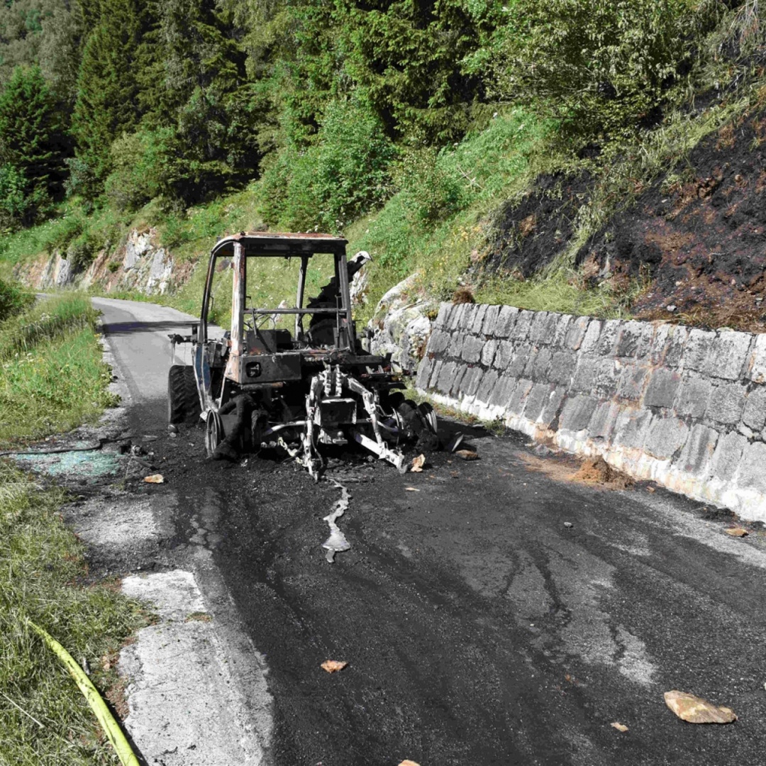 Trattore in fiamme, salvati due bovini