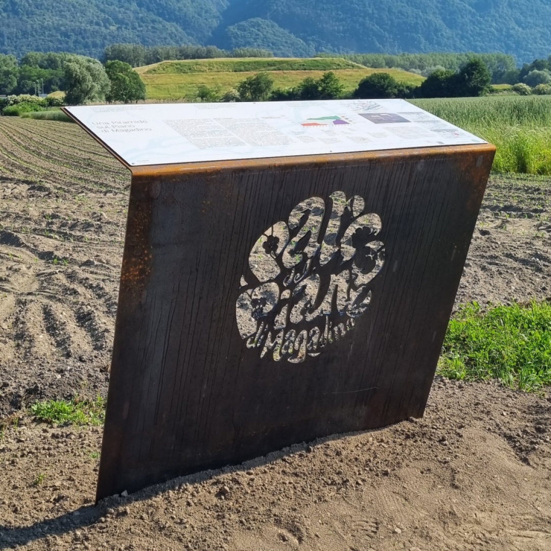 Ventidue nuovi pannelli per scoprire il Parco del Piano di Magadino