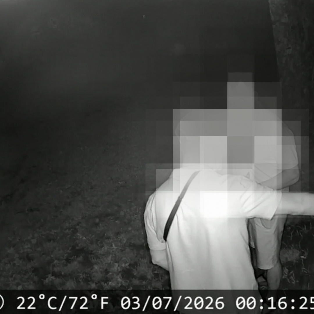 Ladri in azione. Li ferma (forse) la telecamera