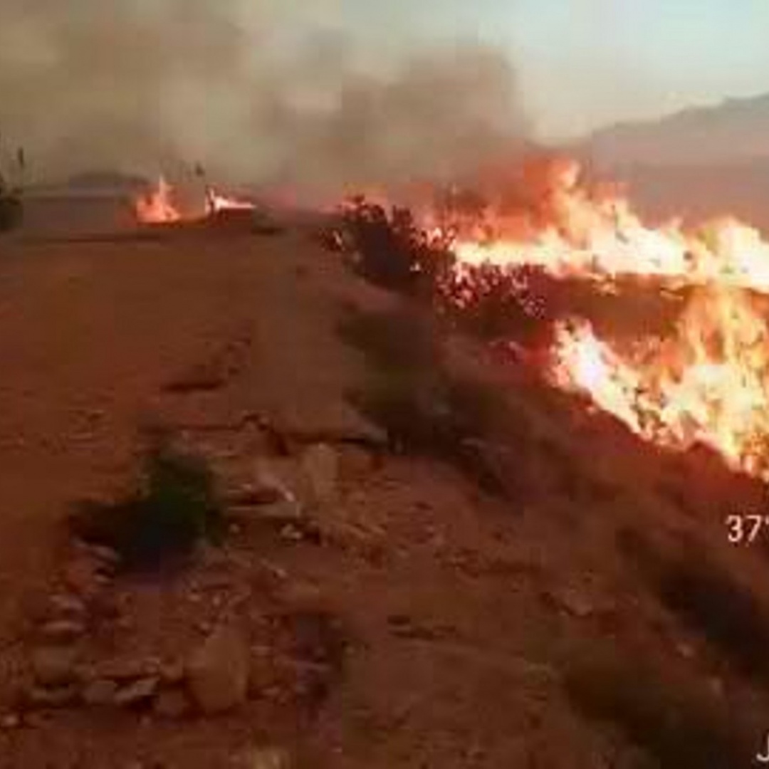 Almeria, bruciano i boschi: 12 morti