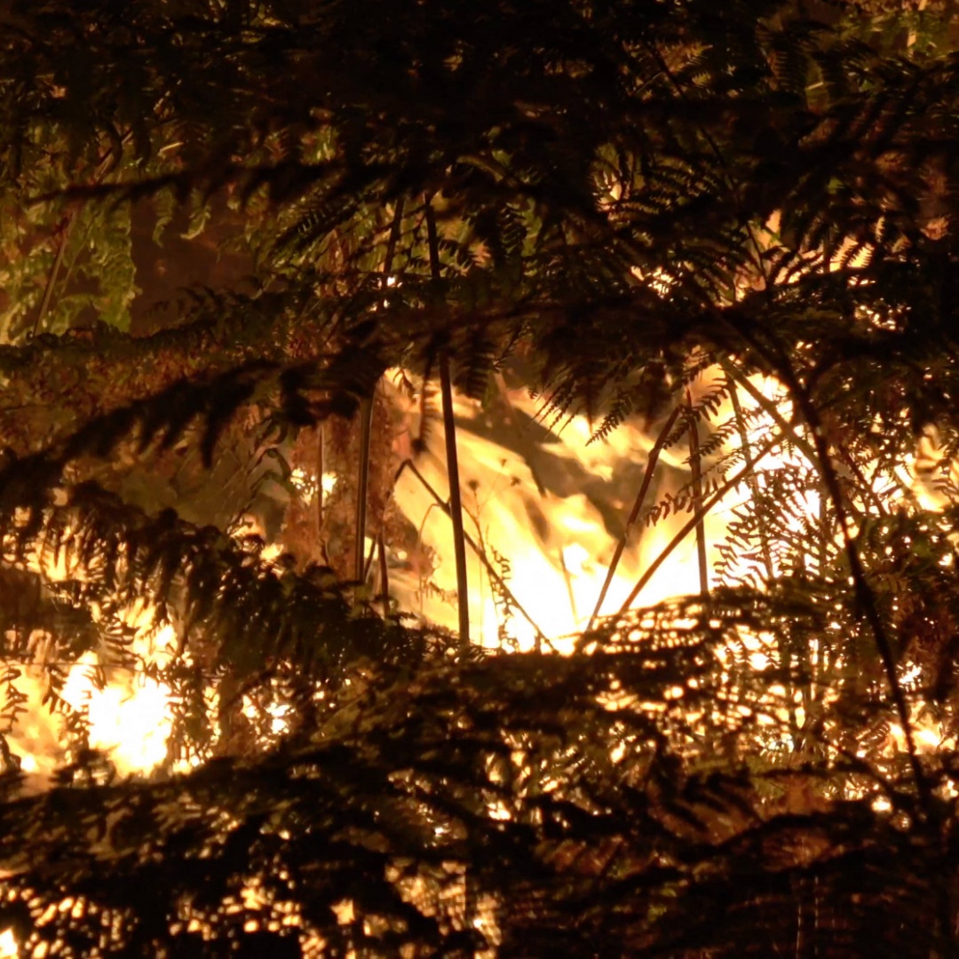 Fontainebleau in fiamme: bruciano 800 ettari