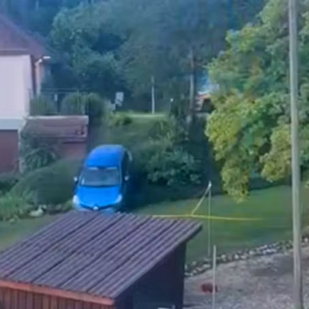 Giù dalla siepe per scappare dalla polizia
