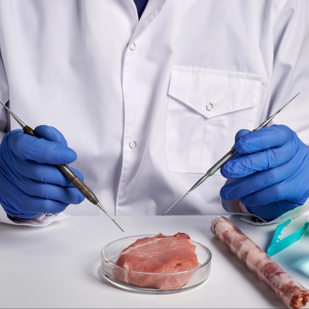 Alimenti non idonei e locali chiusi per gravi irregolarità