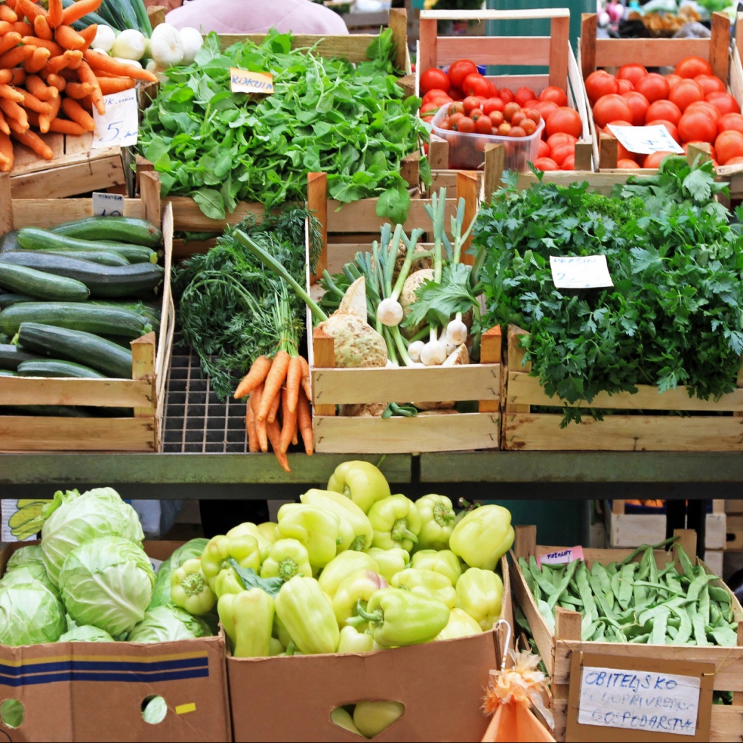 Lanciata la campagna per l'autosufficienza alimentare