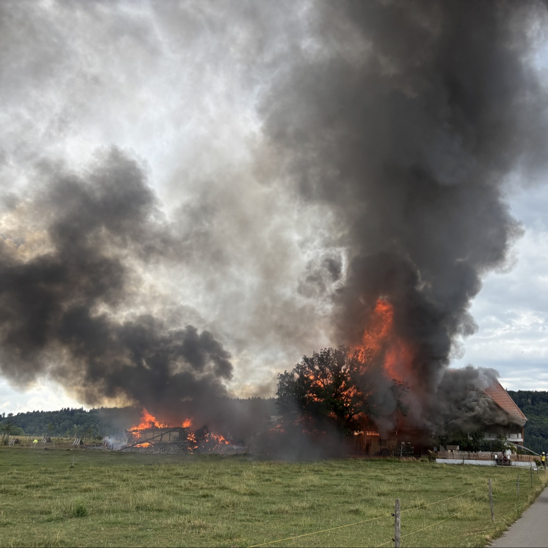 Stalla devastata dalle fiamme: muoiono mucche e maiali