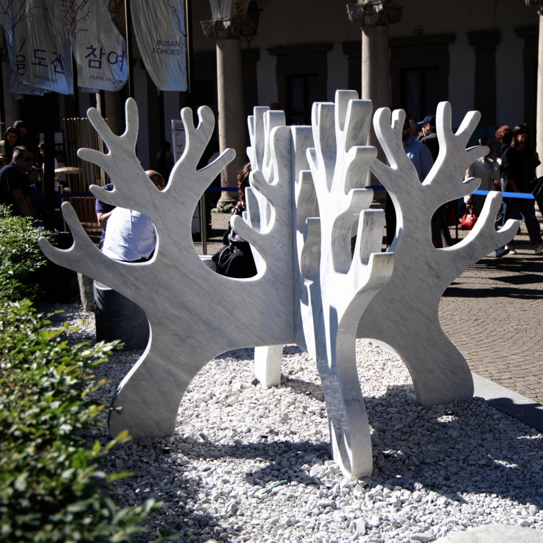 Dalle Alpi al design internazionale