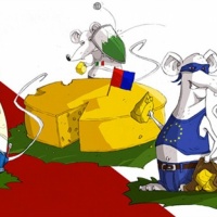 I ratti 'invadono' la Svizzera italiana