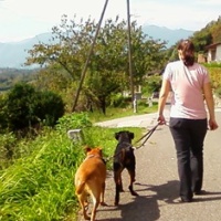 Le sequestrano un cane: 3 sono troppi per la legge