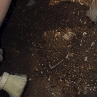 Rinvenute tombe antiche in zona Palasio