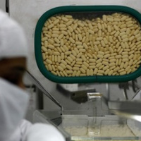 Novartis perde il ricorso contro il farmaco low cost
