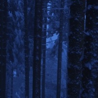 Neve, black out nel Sopraceneri