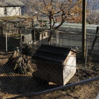 Sequestro di animali nella tenuta di Nussbaumer