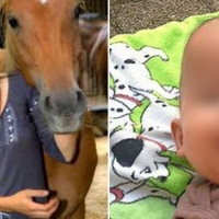 Madre svizzera sgozza il figlio e tenta il suicidio