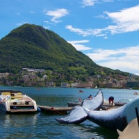 Dove se ne va la balena di Lugano?
