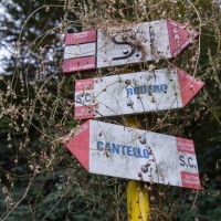 La maestra di Stabio morta per avvelenamento o overdose?