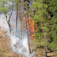Brucia il bosco ad Osco