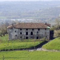 «A che punto siamo con la fattoria di Vigino?»