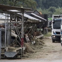 Fattoria dell’orrore, i cavalli saranno venduti giovedì