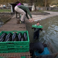 Spumante sul fondo del lago per un affinamento subacqueo