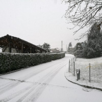 Ecco la neve, «pericolo forte» nel Sopraceneri