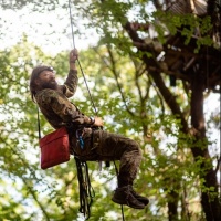 Disboscamento della foresta di Hambach: la RWE non cede