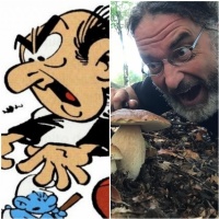 È già tempo di funghi