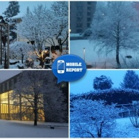E il Ticino si tinse di bianco