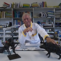 Maltrattamento di animali: si torna in aula