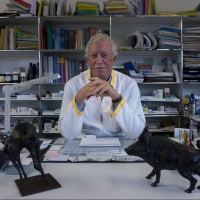 «Su Nussbaumer solo fake news»