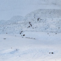 Valanga a Crans-Montana: il primo bilancio è di 4 feriti