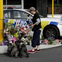 Strage di Christchurch, da chi ha disarmato Tarrant a chi è salvo per miracolo