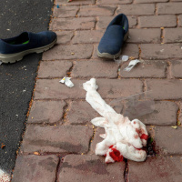 Strage di Christchurch: «Sapevo di non avere possibilità»