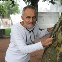«Il taglio dell'albero deve essere sempre l'ultima ratio»