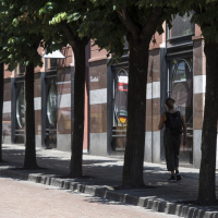 «Il Viale Stazione ha bisogno dei suoi alberi»