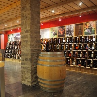 Un caveau per i vini ticinesi: un po’ negozio, un po’ museo