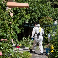 Uccise la nonna, il nipote ricorre contro la sentenza