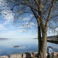 Rinvenuto un cadavere sulle rive del lago