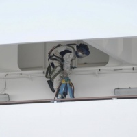 Coronavirus, 60 nuovi casi sulla Diamond Princess