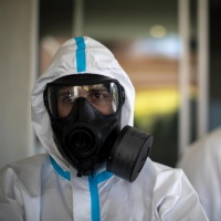 Il coronavirus «non è stato creato dall'uomo»