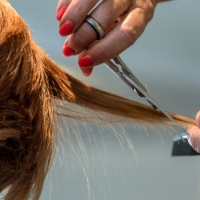 «Continuo a tagliare i capelli per i clienti abituali»