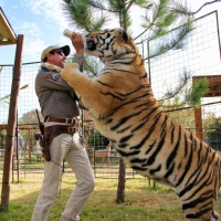"Tiger King", fenomeno da 64 milioni di views (o dovrebbero essere meno?)