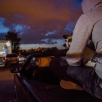 Un cinema all'aperto, e drive-in, d'autore a Chiasso