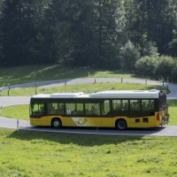 Le corse su richiesta tramite app potrebbero diventare realtà