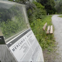L'Astrovia di Locarno? «Da oltre dieci anni abbandonata a se stessa»